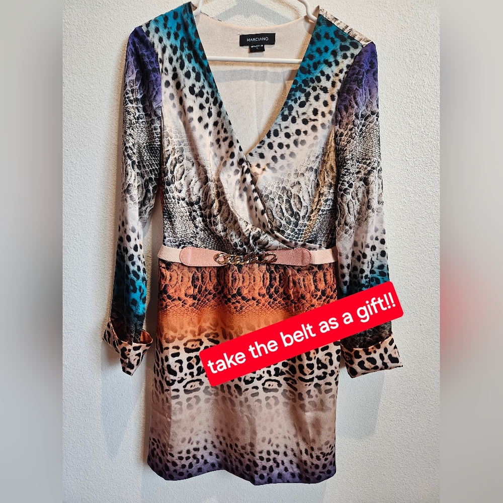 Dress (belt is free)